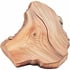 Australian white sandalwood